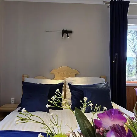 Apartament Janus *